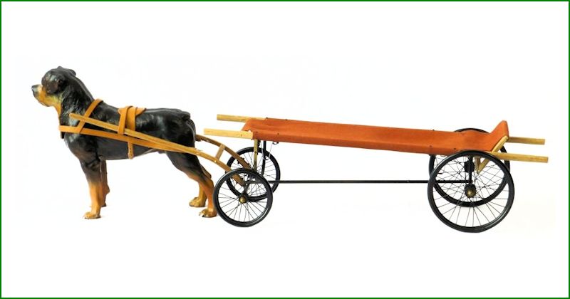 Ziekenwagen Frankrijk
